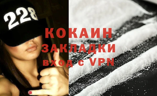 молекула духа Ельня