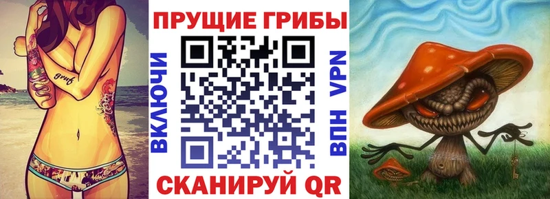 Псилоцибиновые грибы Cubensis  дарк нет состав  Афипский 
